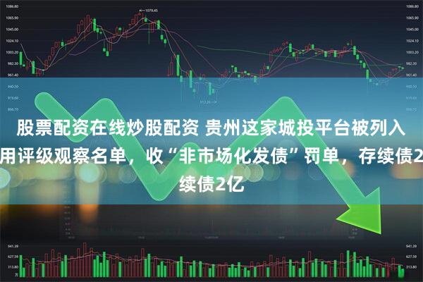 股票配资在线炒股配资 贵州这家城投平台被列入信用评级观察名单，收“非市场化发债”罚单，存续债2亿